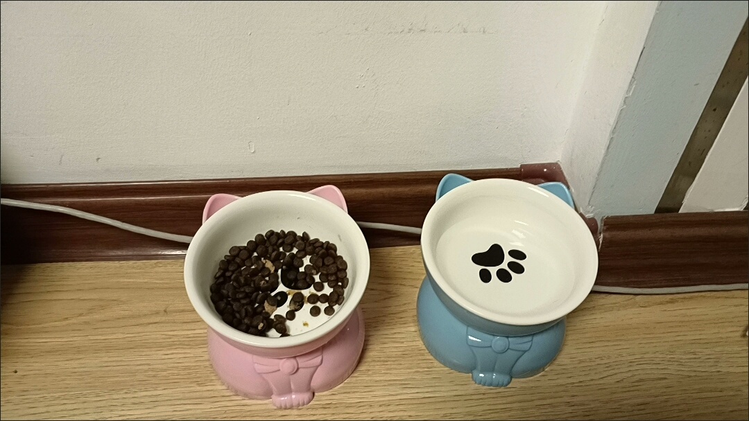 全新可爱陶瓷猫碗9.5两个！粉色蓝色黄色三款，高脚护颈设计，