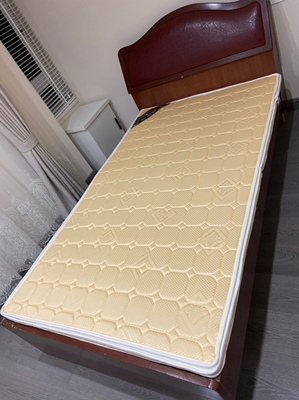 据了解诺伊曼乳胶床垫怎么样？达人分享入手使用感受【...