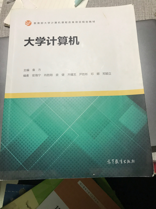 大学计算机(教育部大学计算机课程改革项目规划教材)