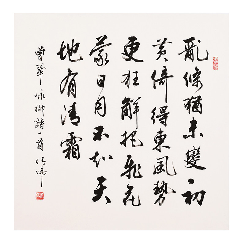 【视频看货】杨传伟《 曾巩 咏柳》省书协会员