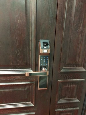 评测点评已经入手说的德施曼T86指纹锁怎么样，方便好用吗？