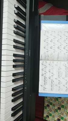 大神评测雅马哈电钢琴怎么样？真的有那么好吗？价格好高