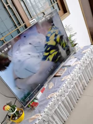 荣耀智慧屏和三星电视对比哪个好呢？用后良心讲感受