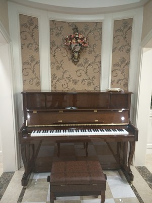 专业点评：博兰德钢琴怎么样？适合刚学琴的小朋友呢？