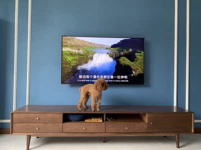 买索尼电视去哪里买比较好，质量坑不坑人说明！真相爆料