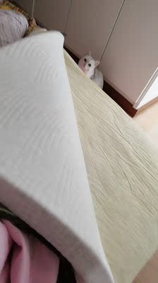 【揭秘】【点评】全友床垫哪款好，这么多型号，不知道哪个型号好