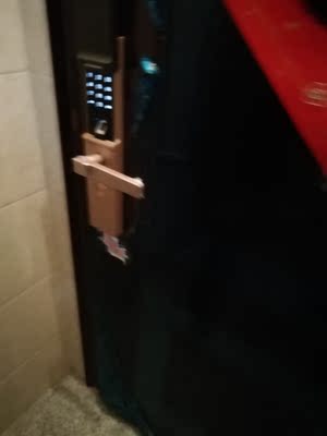 解说【销量第一】德施曼小嘀智能指纹锁怎么样，好不好用？