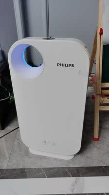 有没有人体验dustie达氏进口空气净化器怎么样？优缺点评价