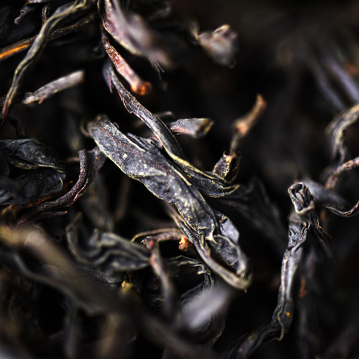 直购5套昌宁千年野生古树单株红茶200g精品瓷罐礼盒 收藏品滇红