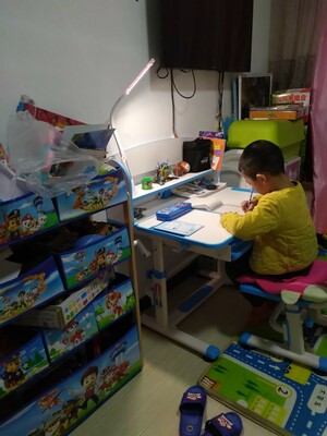 童画林儿童升降小学生学习桌写字桌好不好?桌子质量怎么样?