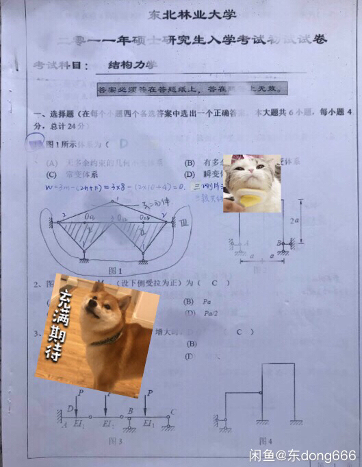 东北林业大学结构力学考研