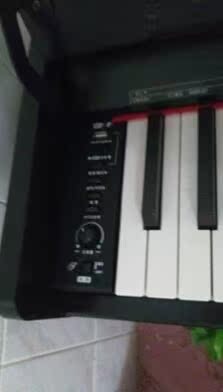 评测点评大家评测德国布鲁诺钢琴怎么样，这个是一线品牌吗？