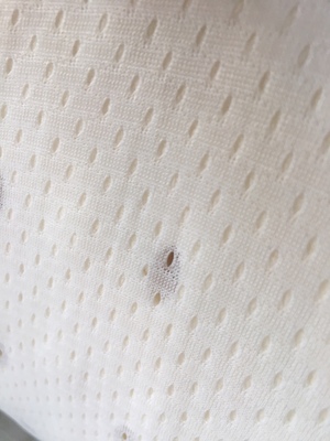 大家谈谈求内行说皖宝乳胶床垫怎么样，是真的乳胶吗？有味道吗？