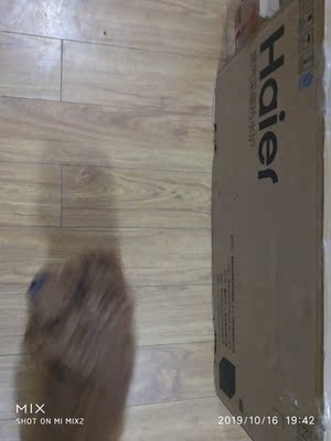 北方用海尔燃气壁挂炉怎么样，好用吗？千万不要装真的吗