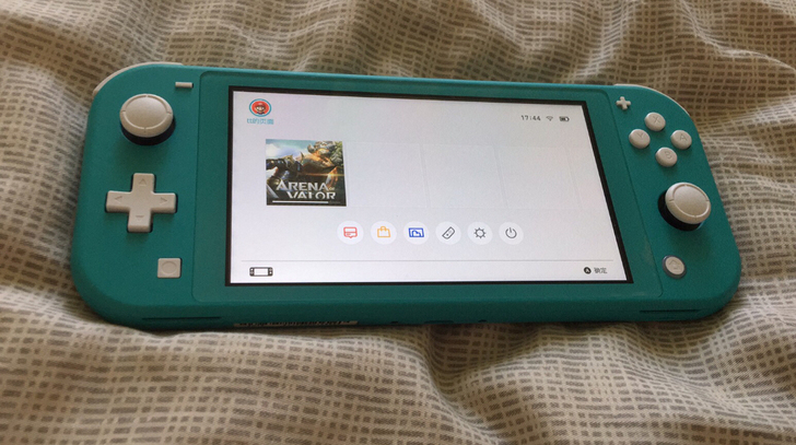 任天堂游戏机switchlite，日版，只有机子和充电器。