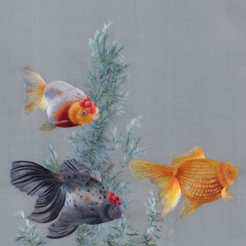 苏绣《金鱼系列一》刺绣