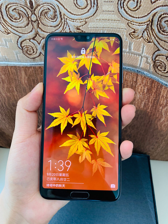 华为p20pro6*64g全网通极光闪蝶色国行双卡双