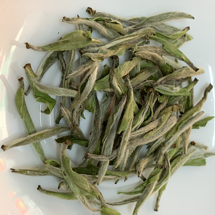 【1斤/500克】2019年 福鼎白茶 百年古树白毫银针