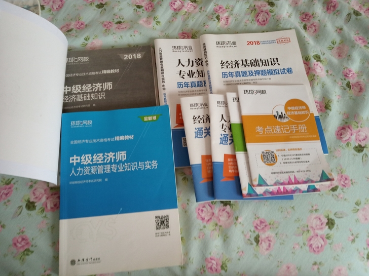 中级经济师人力资源管理专业知识与实务(全新版全国经济专业技术