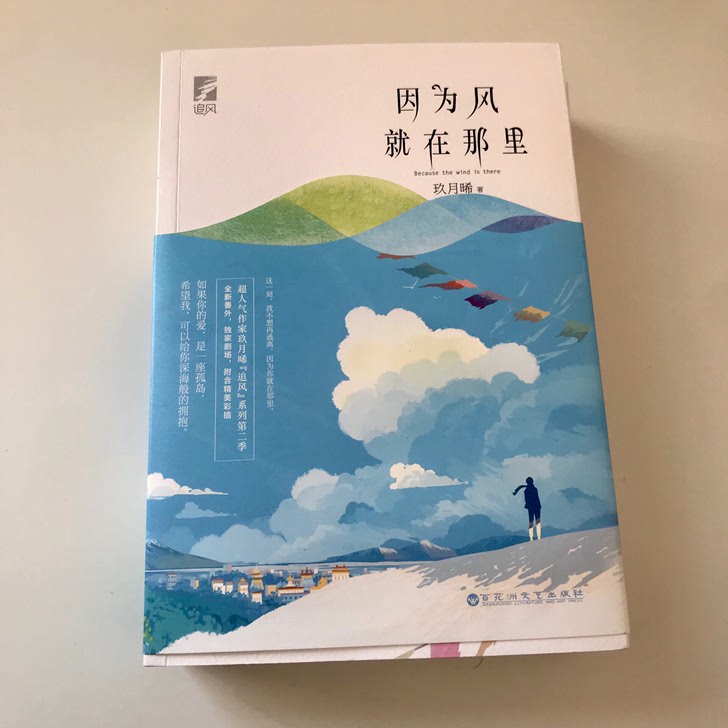 青春文学小说《因为风就在那里》9成新就打开来看了一下淘宝