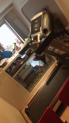 现在很火的亿健t900跑步机怎么样，用后3个月反馈