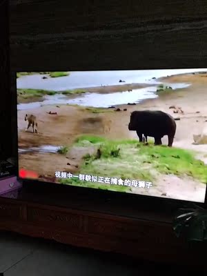 新买的索尼电视怎样看真伪，网上买的有假的吗？