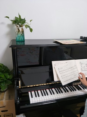 听大家说：海资曼125AF钢琴怎么样？哪个型号适合初学者？