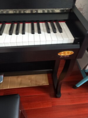 【揭秘】真实测评：珠江艾茉森V05钢琴怎么样，适合小朋友学习吗？