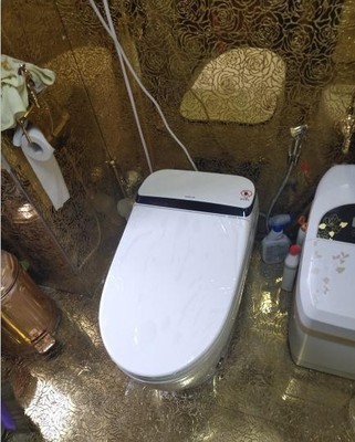 吐槽实际感受浪鲸卫浴智能马桶怎么样，真实质量如何呢？