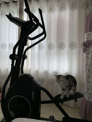 消费者【揭秘】舒华椭圆机怎么样?质量如何?别说没提醒你