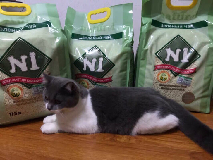 N1猫砂正品绿茶玉米原味1袋17.5L，3袋包邮N1猫砂全