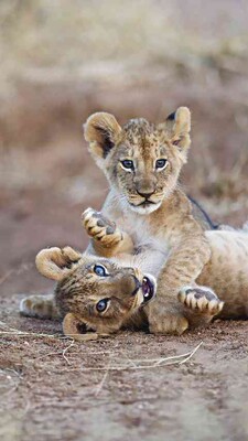 浴室柜九牧和心海伽蓝浴室柜哪个好?最后大家反馈好不好呀?