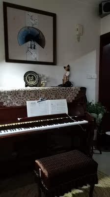 孩子初学用相思鸟电钢琴怎么样？音质音色好吗？