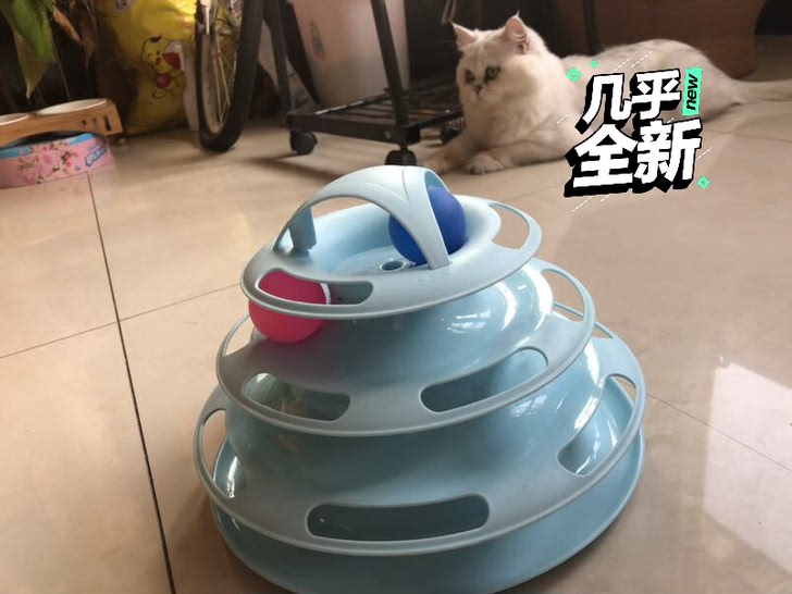 打包出售猫砂盆和猫玩具