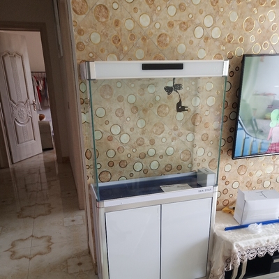 大家说下seastar鱼缸评测好不好?朋友感受seastar鱼缸怎么样?