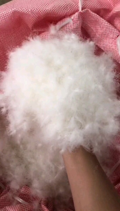 90纯白鸭绒，填充羽绒被羽绒服最佳原料，高温清洗再烘干处理无