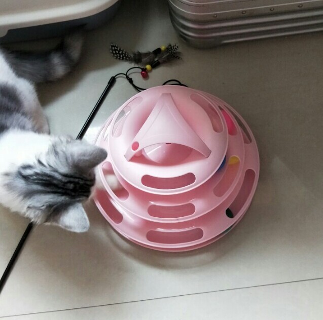 猫玩具爱猫转盘球三层四层轨道猫转盘