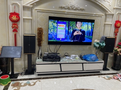 山水pk10家庭ktv专业音响看完这篇你就震惊了质量真的靠谱