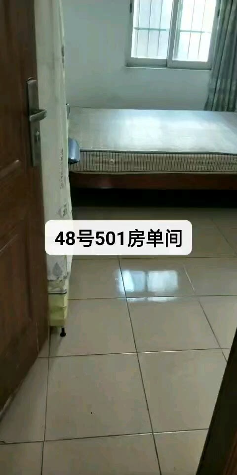 单间800