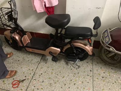 帕加迪折叠电动车怎么样的真实感受揭秘,这个品牌靠谱吗