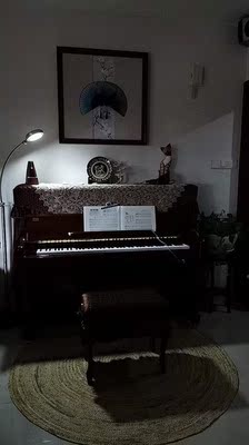 孩子初学用相思鸟电钢琴怎么样？音质音色好吗？