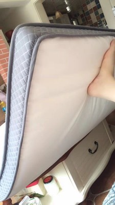 据了解诺伊曼乳胶床垫怎么样？达人分享入手使用感受【...