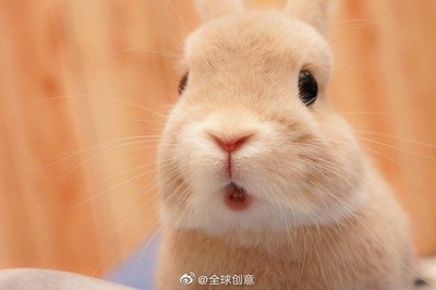 【用户吐槽】泰帅制氧机怎么样?请教下大家好不好用呀?