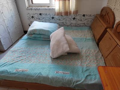 大家看看舒达哈佛乳胶床垫怎么样?使用半年爆料