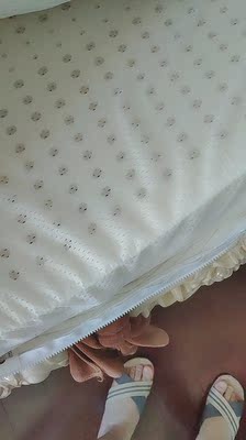 大家谈谈大家揭秘黛圣婕乳胶枕怎么样，是真的吗？是国产的牌子吗