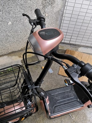 【入手说说】阿尔郎电动车怎么样，电池真的有那么耐用吗