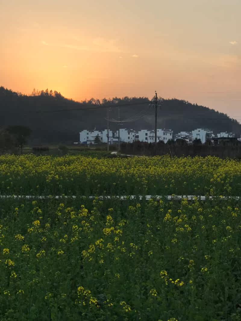 江西婺源旅游包车东线北线三清山景德镇黄山篁