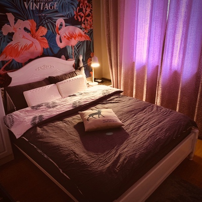 讨论：金橡树乳胶床垫怎么样？很不好用吗？被曝光了吗?