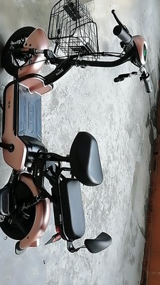 【入手说说】阿尔郎电动车怎么样，电池真的有那么耐用吗