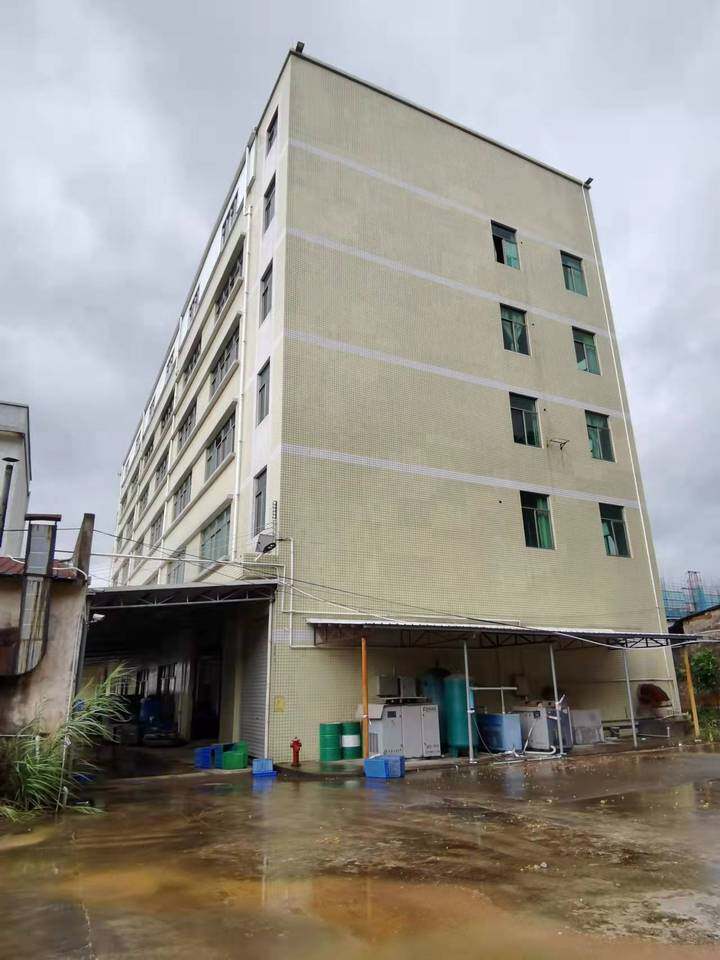 中山市三乡镇白石村麻乾公路98号(旧址:白石环村)的房地产 - 司法拍卖